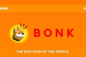 Bonk币是什么币种