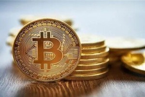 DGO币能涨到多少钱